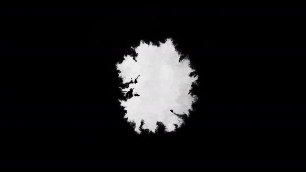 Σύνολο Βίντεο Κλιπ Από Λευκό Χρώμα Κινουμένων Σχεδίων Αιμορραγεί Μαύρο — Αρχείο Βίντεο
