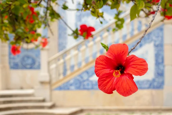 Ebegümeci çiçeği azulejo merdiven palace Park Portekiz ile