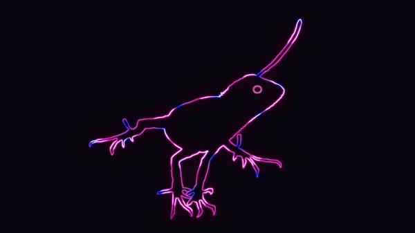 Belo Contorno Camaleão Lagarto Com Iluminação Néon Contorno Animal Com — Fotografia de Stock