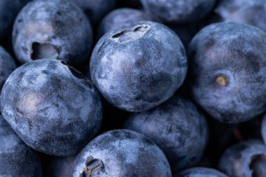 Taze olgun yaban mersini yakından. Makro çekim