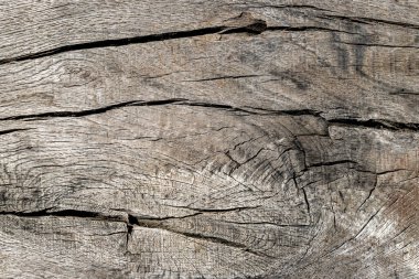 Eski ahşap dokular. Tahta doku. Doğa materyali arka planı