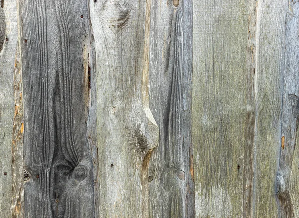 Legname Legno Parete Texture Sfondo Primo Piano Vecchie Tavole Legno — Foto Stock