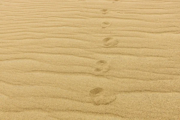 Fußabdrücke Von Nackten Füßen Auf Sandigem Untergrund — Stockfoto