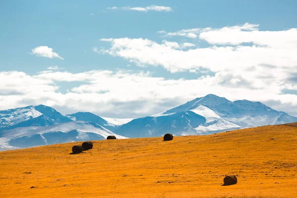 sonbaharda dağlar, Rusya.