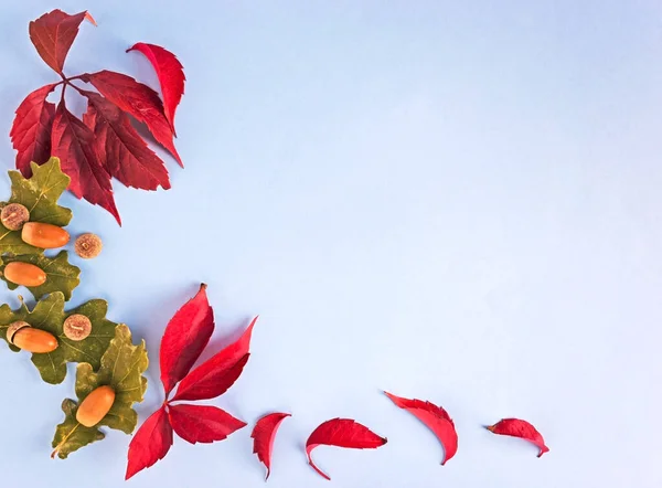 Composición de otoño. Foto de alta calidad — Foto de Stock