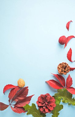 Sonbahar arkaplanı. Kırmızı sonbahar yapraklarından yapılmış çerçeve