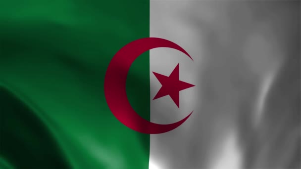 Algeria Bandiera Sventola Animazione Loop Perfetto Sfondo Video Colori Ufficiali — Video Stock