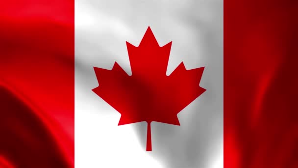 Bandeira Canadá Bandeira Canadá Acenando Com Textura Alta Qualidade Bandeira — Vídeo de Stock