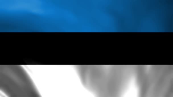 Estonia Bandera Seamless Loop Animación — Vídeo de stock