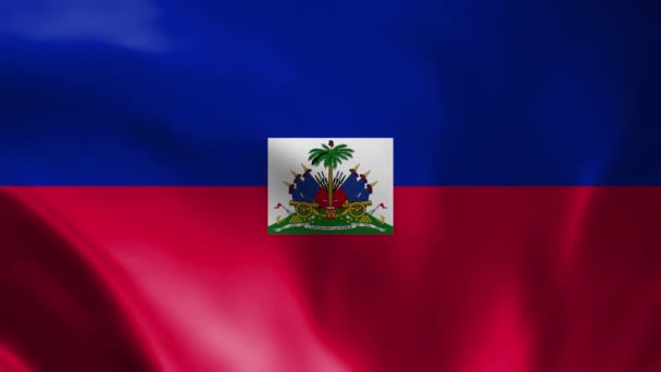 Haïti Vlag Video Zwaaiend Wind Haïti Vlag Wave Loop Zwaaien — Stockvideo