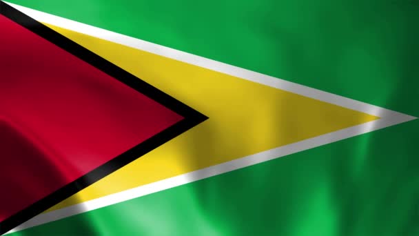 Guyana Bayrağı Yeşil Tam Dalgalanma Kooperatif Cumhuriyet Bayrağı Guyana Dalgalanan — Stok video