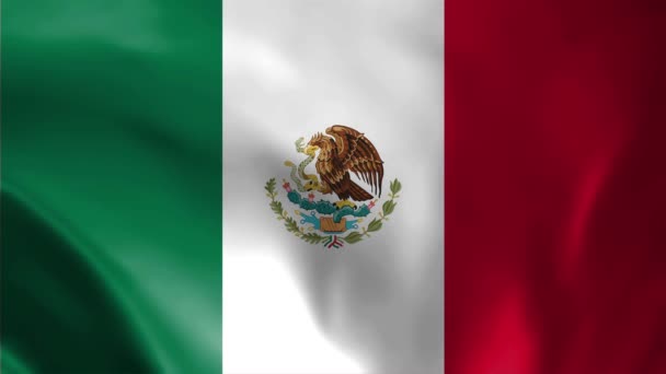 Video Mexickou Vlajkou Mexiko Flag Slow Motion Video Mexická Vlajka — Stock video