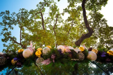 Açık mavi gökyüzü, Aero gösterisi sırasında gündüz