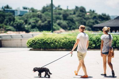 Yayalar ve palmiye ağaçları sırasında gündüz, Hong Kong