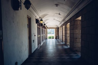 Yayalar ve palmiye ağaçları sırasında gündüz, Hong Kong