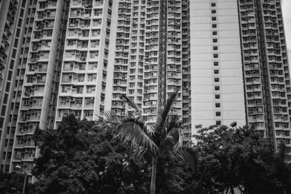 Hong Kong Binalar Archtitecture Siyah Beyaz Resim — Stok fotoğraf