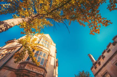 21 Ekim 2017 - Kings Cross Station, Londra: İç ve dış görünümü Kings Cross İstasyonu ve Londra, İngiltere'de alışveriş
