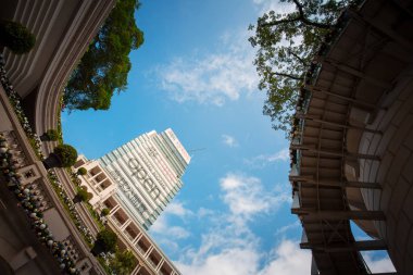 Yayalar ve palmiye ağaçları sırasında gündüz, Hong Kong