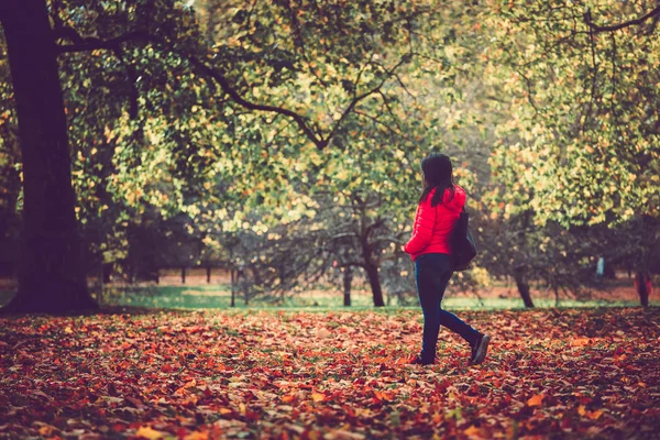 Осенний Парк Опавшие Листья Люди Гуляют — стоковое фото
