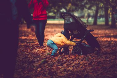 Sonbahar park ve düşen yapraklar, insanlar yürürken, insanlar 