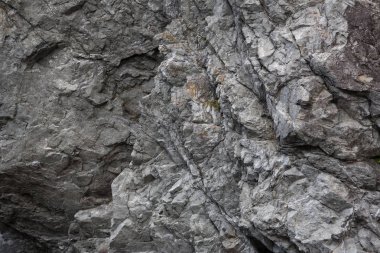 Harika deniz manzarası görünümüyle dalgalı su ve kıyı 