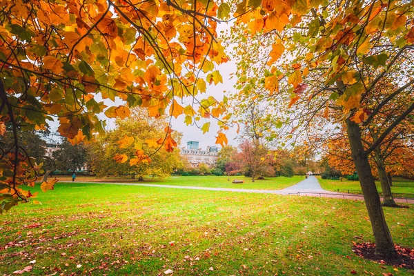 昼間時に秋の公園 — ストック写真