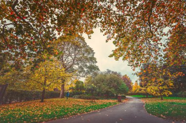 Gündüz sırasında Sonbahar zaman Park