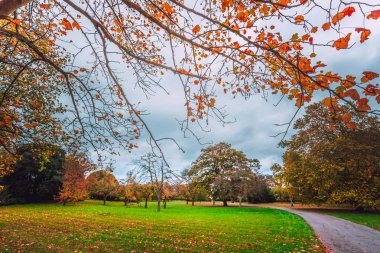 Gündüz sırasında Sonbahar zaman Park