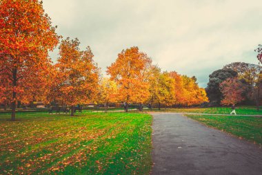 Gündüz sırasında Sonbahar zaman Park