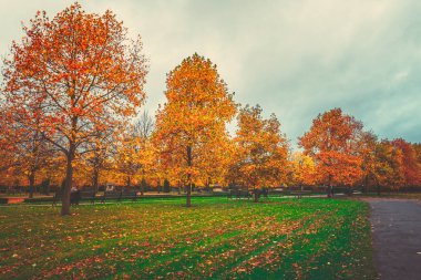 Gündüz sırasında Sonbahar zaman Park