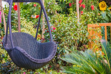 Gündüz sırasında doğada çiçek