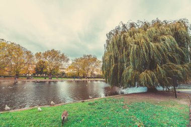 Gündüz sırasında Sonbahar zaman Park