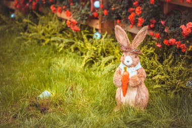 Gündüz sırasında doğada çiçek