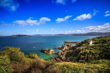 Harika deniz manzarası görünümüyle dalgalı su ve kıyı 