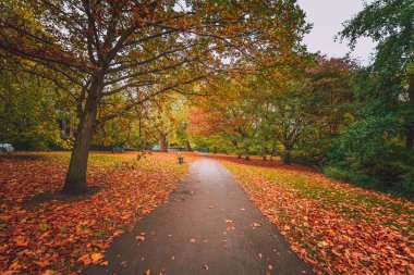Gündüz sırasında Sonbahar zaman Park