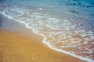 dalgalı okyanus ve kumlu plaj