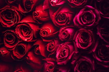 Gündüz sırasında doğada çiçek