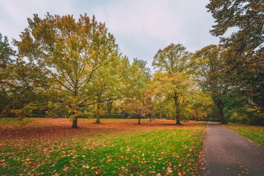 Gündüz sırasında Sonbahar zaman Park