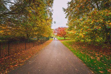 Gündüz sırasında Sonbahar zaman Park