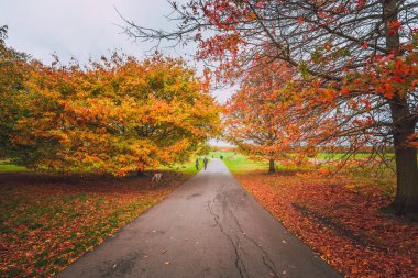 Gündüz sırasında Sonbahar zaman Park