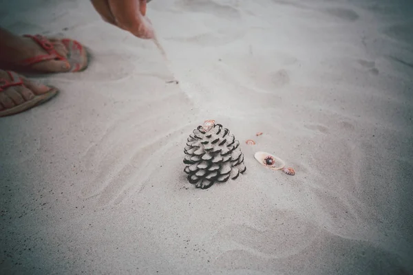 Cone Lying Sandy Beach Daytime — Stock Photo, Image