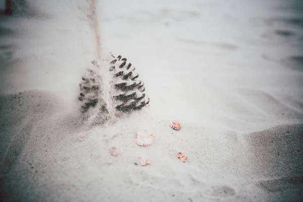 昼間は砂浜で横になっているコーン — ストック写真