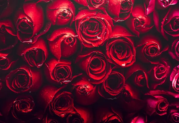 Gündüz sırasında doğada çiçek