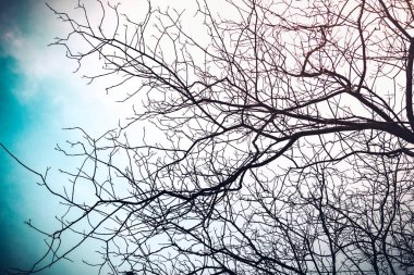 soyut modern mimari arkaplan 