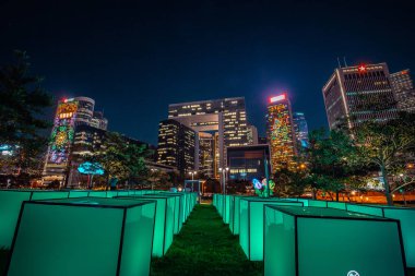 Hong Kong, Çin - Şubat 12,2019: Hong Kong darbeli ışık Festivali 2018 & Uluslararası ışık sanat ekran, alan insanlar fotoğraf ve gösterinin keyfini çıkarın.