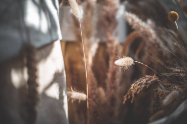 Gündüz sırasında arka plan bulanık buğday