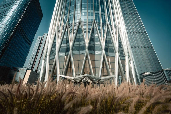 中国深圳 2019年1月25日 全球56座超过3 5亿的摩天大楼之一 深圳华润总部的近景 — 图库照片