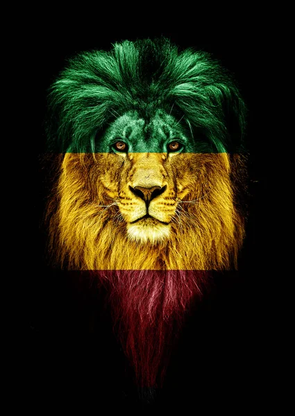 Portrait of a Beautiful lion, faceart and patriotism concept. Portrait of a leader. king. Portrait of a lion with a projection of the flag of the Ethiopia. Patriot of his country