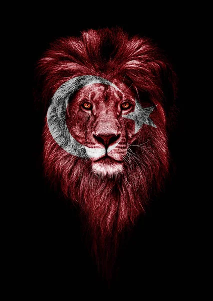 Portrait Beautiful Lion Faceart Patriotism Concept Portrait Leader King Portrait — Stock Photo, Image