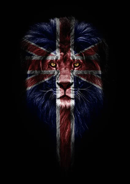 Krajowych Zwierząt Wielkiej Brytanii Portret Koncepcji Piękny Lew Emocjonalność Patriotyzm — Zdjęcie stockowe
